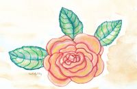 Autumn rose